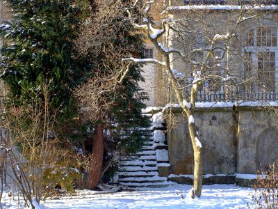 Berggiehbel am Kurpark 2