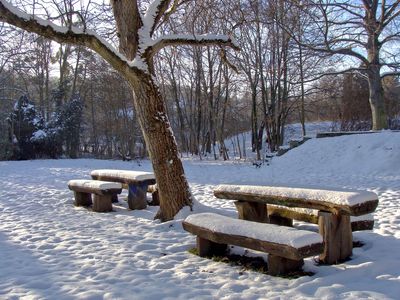 Berggiehbel am Kurpark 5