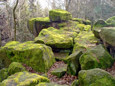 Zehistaer Wnde 2