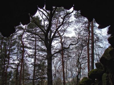 Gersdorfer Ruine