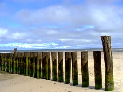Insel Wangerooge 2024 12