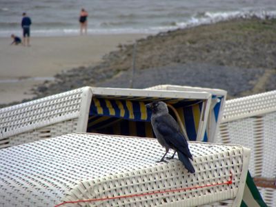 Insel Wangerooge 2024 16