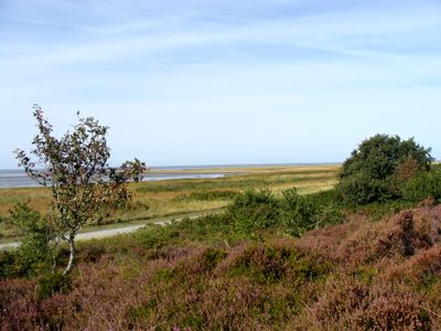 CUXHAVEN SAHLENBURG DUNER HEIDE 4