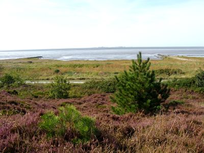 CUXHAVEN SAHLENBURG DUNER HEIDE 7