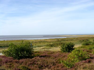 CUXHAVEN SAHLENBURG DUNER HEIDE 10