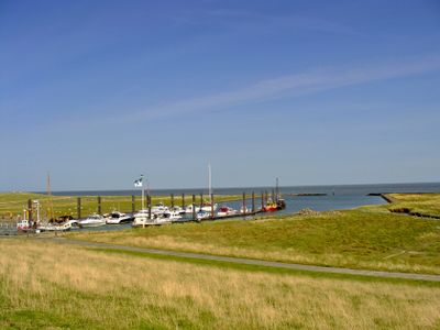 CUXHAVEN ALTENBRUCHER ELBDEICH DICKE BERTA 9