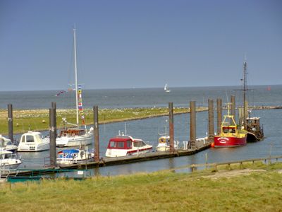 CUXHAVEN ALTENBRUCHER ELBDEICH DICKE BERTA 18
