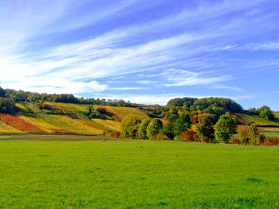 Der Herbst ist ein Malermeister