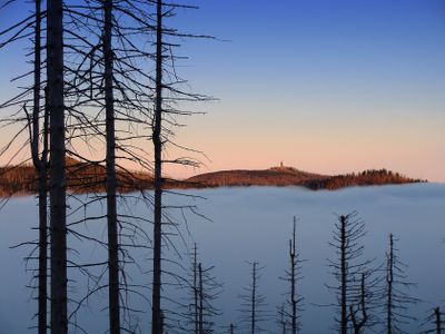  Der Wanderer ber dem Nebelmeer 2