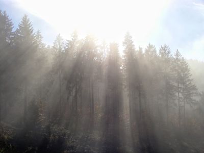 g13/34/632434/3/175030036.0f4822f2.JPEG