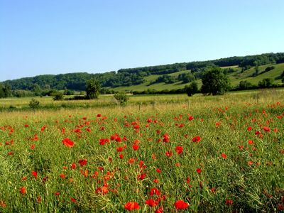 sulzfeld_am_main_unterfranken_germany