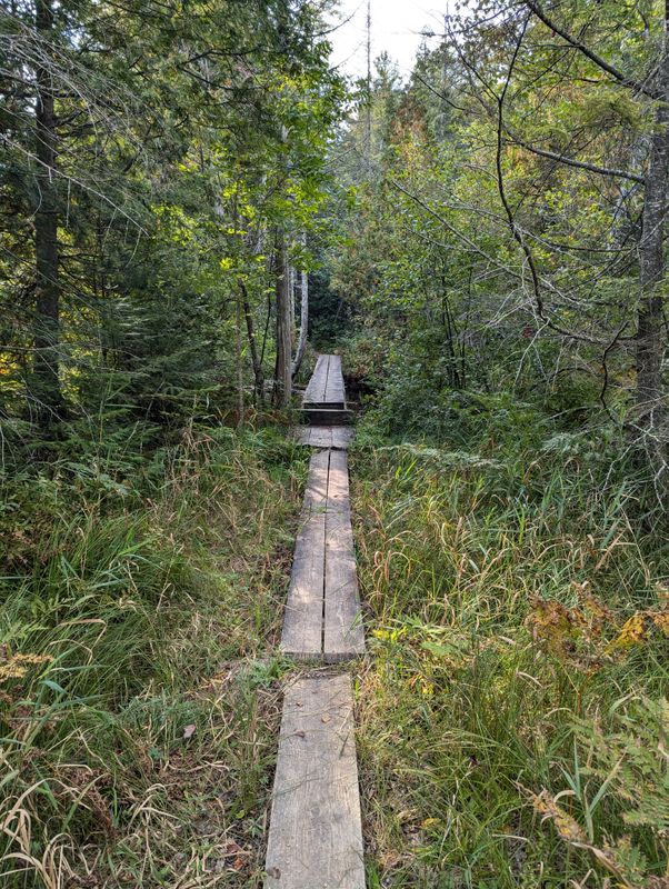 PXL_20240916_205106107.jpg