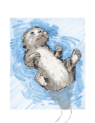 otter-1.jpg