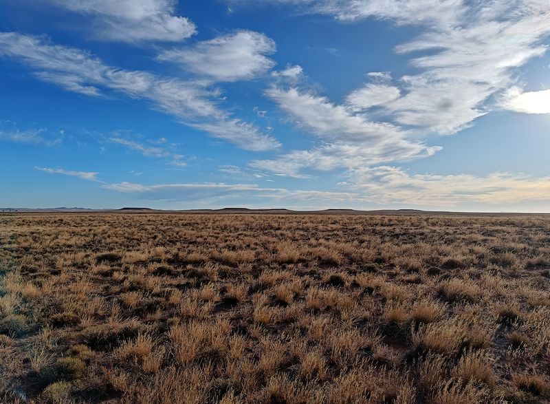 Karoo Gariep Nature Reserve