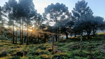 Urupema, Santa Catarina