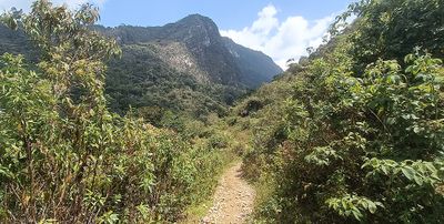 Leimebamba, Amazonas