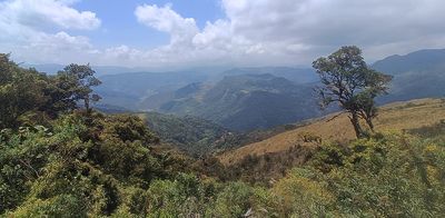 Amazonas Province