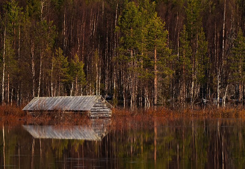 Kaunisjoki in May - P5130119.jpg