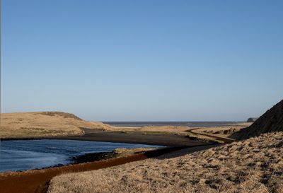 Saint Paul Island, Alaska - 5310220.jpg