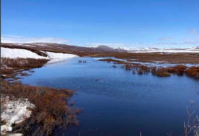 Teller Road - IMG_4537.jpg