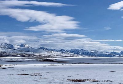 Kougarok Road - IMG_4594.jpg