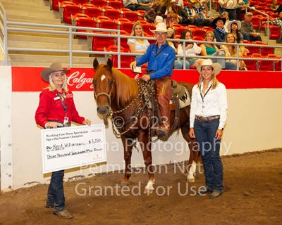 Open Hackamore