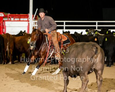 Cutting Horse Competitions