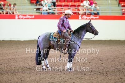 Working Cow Horse Spectacular