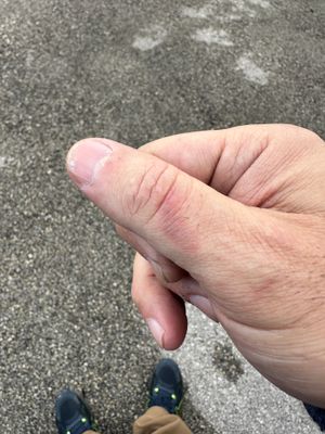 g13/34/833534/3/174314247.b6262b62.JPEG