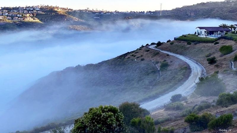 Misty start to the day