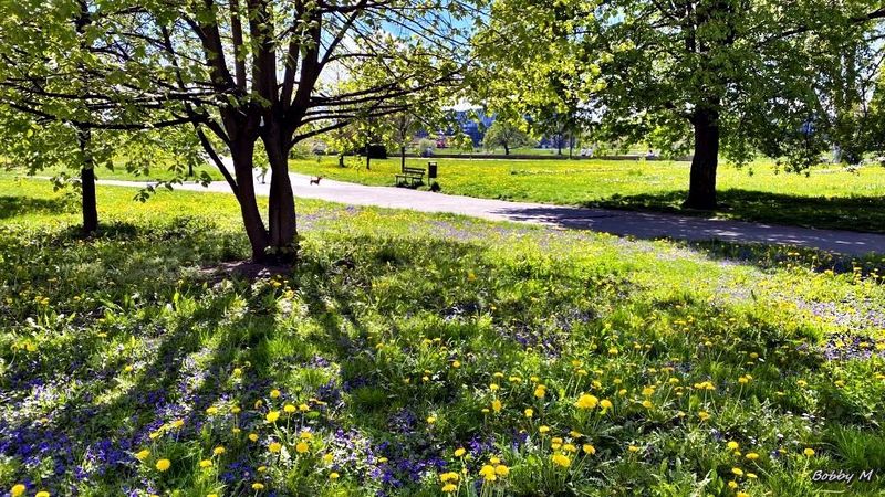 The scent of spring