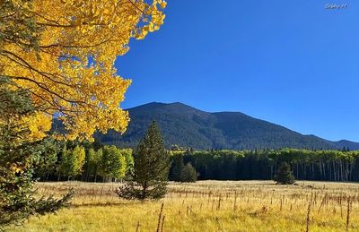 Autumn hike