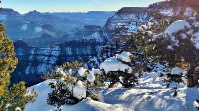 Winter morning