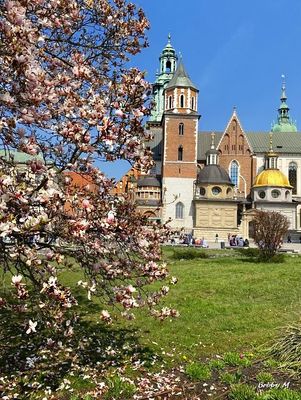 Spring has arrived