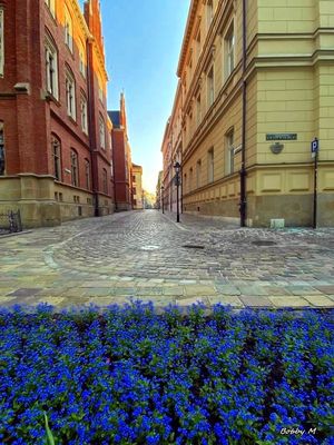 Jagiellonska Street
