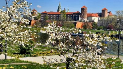 Early spring visit to Krakow - April 2023
