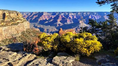 Grand Canyon - nature's special gift