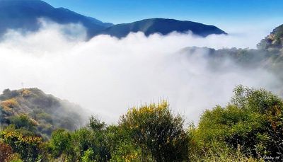 Morning fog on hills