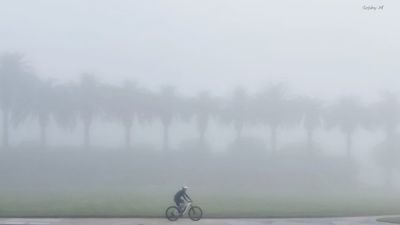 Cyclist in the fog
