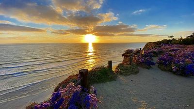 Ocean cliff sunset