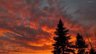 Evening sky
