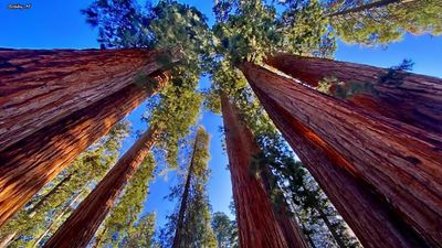 Sequoia/Kings Canyon NP - Aug 2024