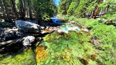 Cedar Grove River