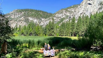Picnic in nature