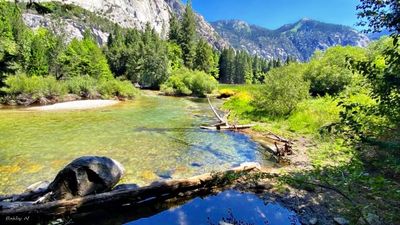 Zumwalt Meadow