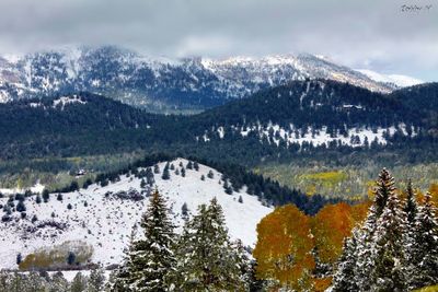 Changing seasons