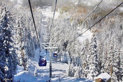 Arizona gondola