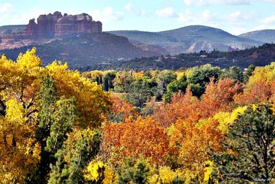 Sedona in the fall