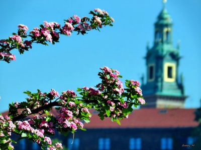 Lesser Poland Voivodeship visit - April 2025