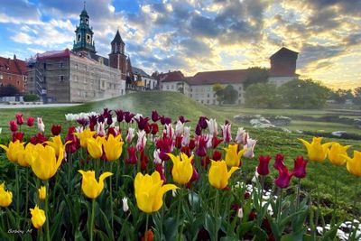Lesser Poland Voivodeship visit - April 2025